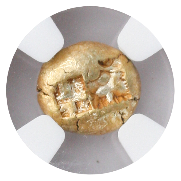 550-600 B.C. Hecte Ionia NGC ChVF